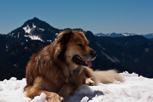 IMAGE: http://stover98074.smugmug.com/photos/947141340_otmNP-M.jpg