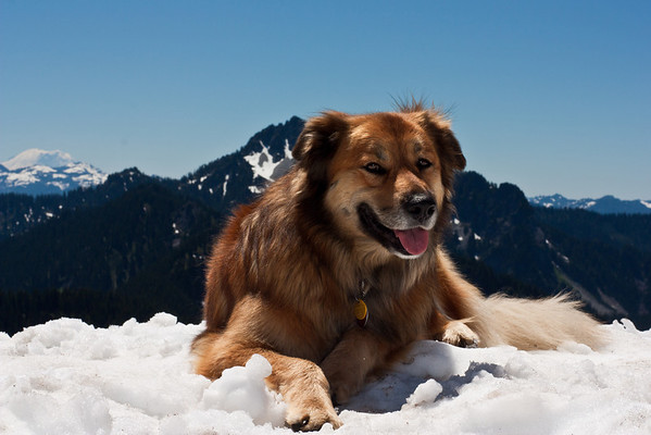 IMAGE: http://stover98074.smugmug.com/photos/947141626_7tDap-M.jpg